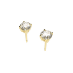 Puces d'oreilles 0.5cts