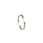 Alliance plate 1.5mm